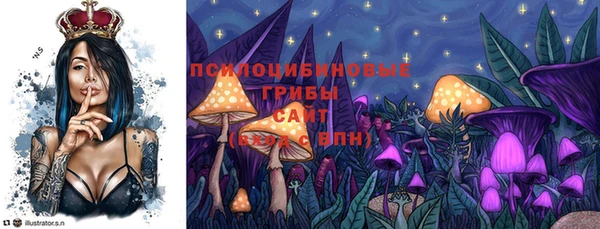 apvp Арсеньев